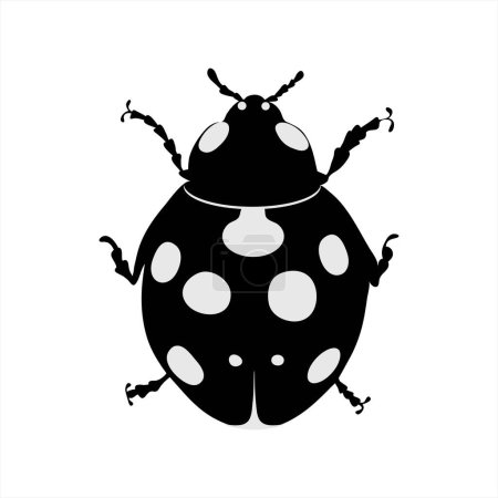 Illustration for Vector silhouette of ladybug with white spots. Illustration symbolize insect and nature on white backgroud. - Royalty Free Image