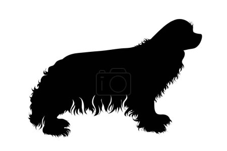 Téléchargez les illustrations : Silhouette vectorielle de l'épagneul Cavalier Roi Charles sur fond blanc. Symbole d'animal de compagnie et chien. - en licence libre de droit