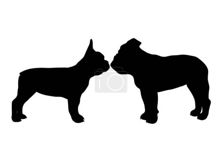 Illustration for Vector silhouette of french bulldog and english bulldog on white background. Symbol of pet and dog. - Royalty Free Image