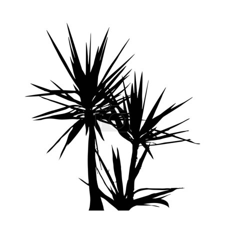 Silhouette einer Yucca-Pflanze auf weißem Hintergrund. Symbol für Garten und Natur.