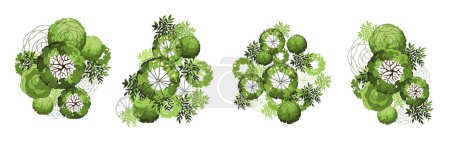 Illustration for Tree for architectural floor plans. Entourage design. Various trees, bushes, and shrubs, top view for the landscape design plan. Vector illustration. - Royalty Free Image