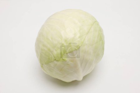White cabbage on a white background. Isolated.