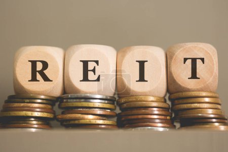 Téléchargez les photos : L'acronyme REIT écrit sur des cubes de bois et des pièces de monnaie sur fond gris. Studio photo. - en image libre de droit