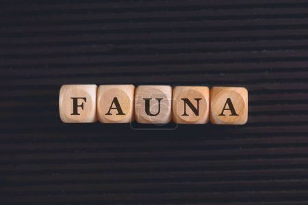 Photo for The word fauna written on wooden blocks on black background. Close up photo. - Royalty Free Image