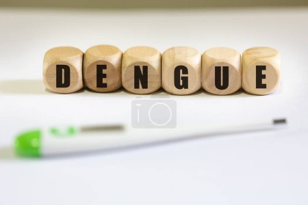 Téléchargez les photos : Le mot Dengue (fièvre dengue) écrit sur des dés de bois. Portugais Brésilien. Santé publique. - en image libre de droit