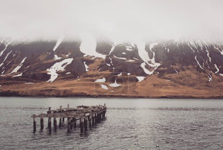 Holzdocks in Island. Seebrücke mit Möwenvögeln. See im Winter. Fjord in Island.