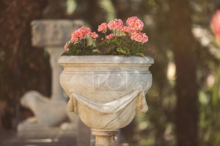 Blumentopf im Freien vorhanden. Villa Durazzo-Centurione. Santa margherita ligure Italien. Italienischer Gartenpark mit Betonblumenstand im Hof. 