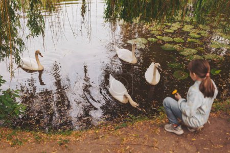 Un grupo de cisnes en el borde de un lago y gente alimentando a los cisnes. Comida en la bahía y un cisne tratando de conseguir la comida. Vista trasera niño dando comida a los cisnes en el lago.