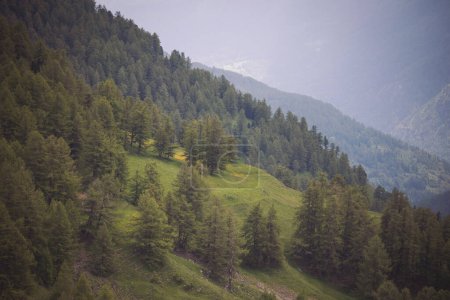 Paisaje del valle de la montaña en los Alpes italianos, Italia, Europa. paisaje durante la temporada de verano.
