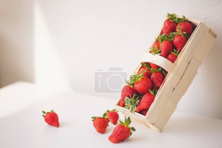 recogido fresas en una canasta. Cosecha de fresas de jardín. Fresas rojas maduras en una canasta de cerca. Alimentos dietéticos y saludables.