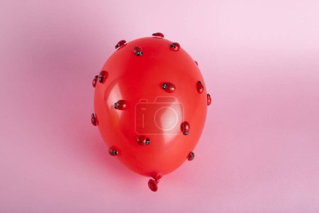 Photo for An invasion of numerous ladybugs on a red inflatable balloon with a pink background. Minimal color still life photography. - Royalty Free Image