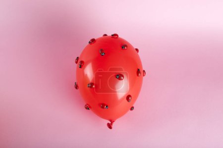 Téléchargez les photos : Une invasion de nombreuses coccinelles sur un ballon gonflable rouge avec un fond rose. Photographie minime couleur nature morte. - en image libre de droit