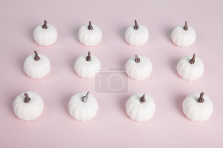 Photo for White mini pumpkins aligned symmetrically in rows and columns on a pastel pink background. Minimalist, trendy still life photography. - Royalty Free Image