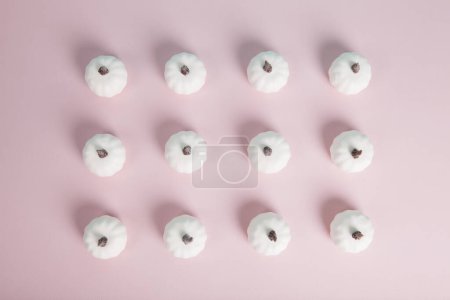 Photo for White mini pumpkins aligned symmetrically in rows and columns on a pastel pink background. Minimalist, trendy still life photography. - Royalty Free Image