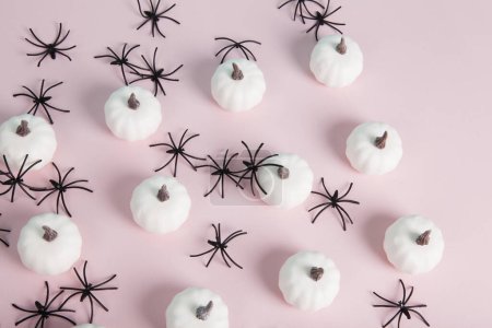 Photo for White mini pumpkins aligned symmetrically in rows and columns in the middle of a spider infestation on a pastel pink background. Minimalist, trendy still life photography. - Royalty Free Image