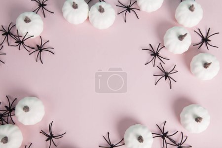 Foto de Mini calabazas y numerosas arañas formando un marco alrededor de un espacio en blanco para el texto sobre un fondo rosa pastel. Minimalista, fotografía bodegón de moda. - Imagen libre de derechos