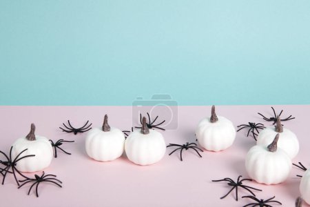 Photo for Mini pumpkins surrounded by an infestation of spiders on a pink background against a horizon of blue sky. space left blank for text. Minimalist, trendy still life photography. - Royalty Free Image