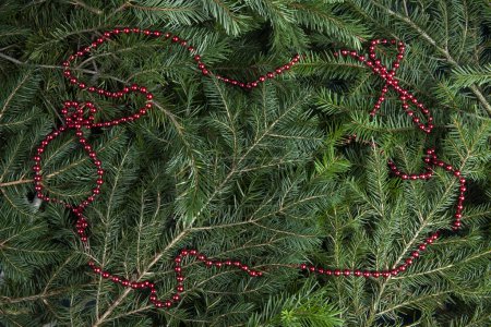 Téléchargez les photos : Zoom sur un tas de branches de sapin avec un cadre de guirlande de perles rouge vif. Texture pour ressource graphique - en image libre de droit