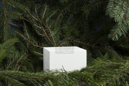 Photo for White wooden block among fir branches.  Proposal for presentation, highlighting and free space for writing text - Royalty Free Image