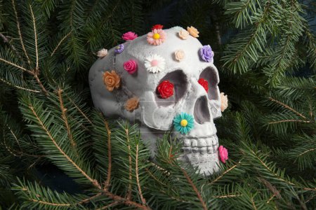 Foto de Un cráneo cubierto de múltiples flores de plástico en diferentes colores, aislado entre ramas de abeto. Metáfora de las ramas como tumba. vanidad como representación alegórica de la fragilidad de la vida humana - Imagen libre de derechos