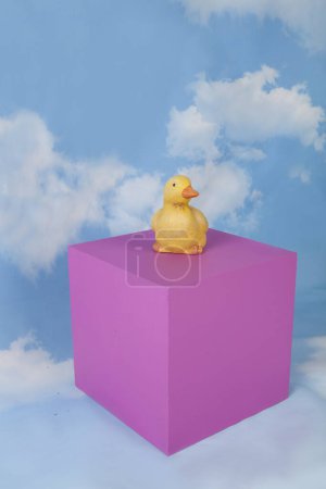 Photo for A plaster duck on a pink cube in front of a blue sky with clouds.Minimal still life photography - Royalty Free Image