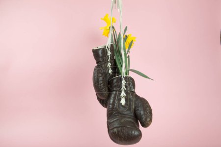 a pair of old boxing gloves hacked to become a vase with narcissus flowers inside hung in front of a candy-pink background. Minimal and quirky color still life photography 