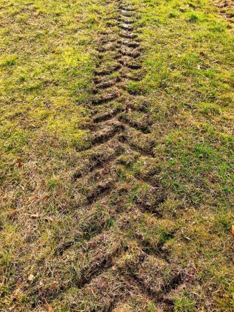 tractor tire mark on the grass