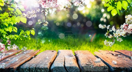 Foto de Primavera - Florece en la mesa de madera en el jardín verde con luces Bokeh desenfocadas y efecto de bengala - Imagen libre de derechos