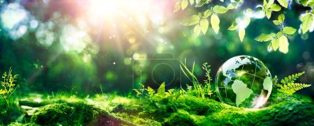 Téléchargez les photos : Jour de la Terre - Environnement - Globe vert dans la forêt avec mousse et lumière du soleil abstraite déconcentrée - en image libre de droit