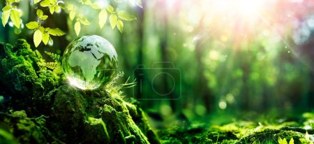 Foto de Día de la Tierra - Globo verde en el bosque con musgo y luz solar abstracta desenfocada - Concepto de medio ambiente - Imagen libre de derechos