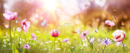 Spring - Sunny Field With Poppies And Daisies Flowers On Grass With Abstract Defocused Landscape