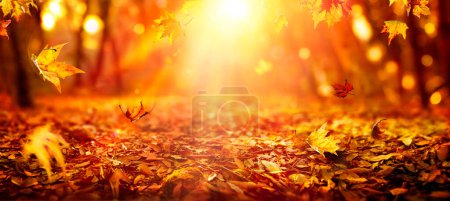 Jesień - Spadające liście w pomarańczowym lesie o zachodzie słońca z rozproszonym słonecznym tle