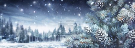 Téléchargez les photos : Paysage hivernal - Sapin avec neige et forêt en arrière-plan - Flocs de neige abstraits déconcentrés - en image libre de droit