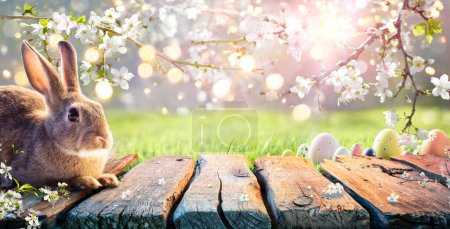 Téléchargez les photos : Pâques - Lapin mignon sur la table avec des fleurs de cerisier dans le jardin ensoleillé - en image libre de droit