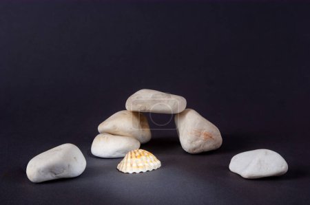 Foto de SONY DSC Piedras marinas blancas, tratadas con agua de mar, se ven bien sobre un fondo gris, fotografiadas en un estudio con iluminación artificial. - Imagen libre de derechos