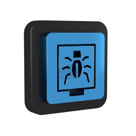 Foto de Insectos azules en un icono de marco aislado sobre fondo transparente. Herbario. Botón cuadrado negro. . - Imagen libre de derechos