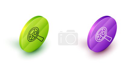 Illustration for Isometric line Microorganisms under magnifier icon isolated on white background. Bacteria and germs, cell cancer, microbe, virus, fungi. Green and purple circle buttons. Vector - Royalty Free Image