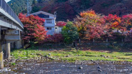 Téléchargez les photos : Le parc de la feuille d'érable au Japon, Automne du Japon, Changement de saison de la feuille, Pont rouge et érable dans le parc à l'automne du Japon - en image libre de droit