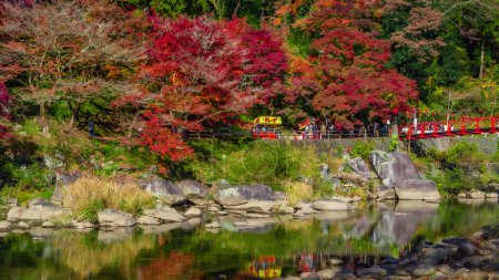 Téléchargez les photos : Le parc de la feuille d'érable au Japon, Automne du Japon, Changement de saison de la feuille, Pont rouge et érable dans le parc à l'automne du Japon - en image libre de droit