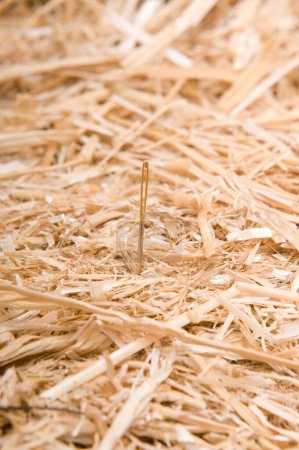 Photo for Needle in a haystack symbol of something hard to find - Royalty Free Image