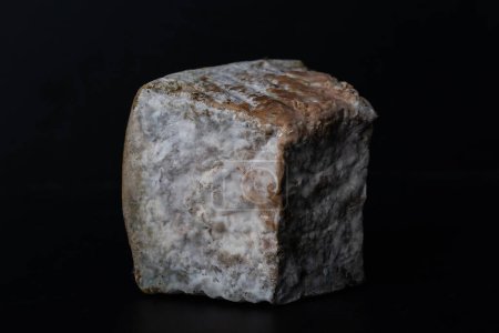 Téléchargez les photos : Morceau de fromage fermenté par des bactéries avec champignon et moisissure - en image libre de droit