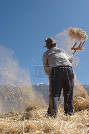 Foto de Agricultor trabajando en un campo de trigo con una gavilla de paja - Imagen libre de derechos