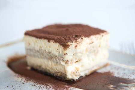 Téléchargez les photos : Dessert tiramisu dans une assiette blanche sur un fond blanc - en image libre de droit
