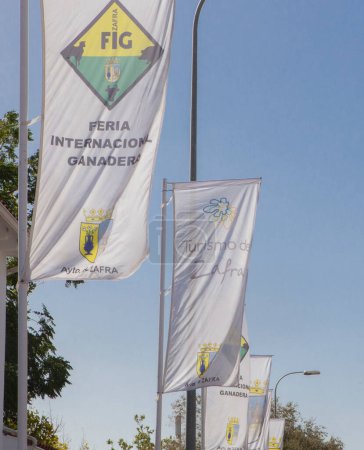 Foto de Zafra, España - 10 de octubre de 2022: Feria Internacional de Ganadería de Zafra. Banderas de banderas - Imagen libre de derechos