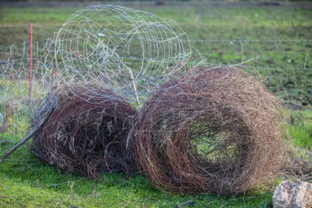Photo for Livestock fence removed and rolled up. Country shot - Royalty Free Image