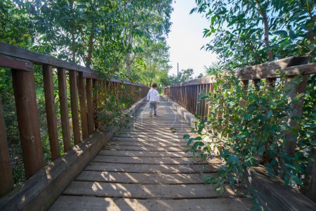 Photo for Little boy crossing a wooden bridge alone. Riverside eucalyptus forest - Royalty Free Image