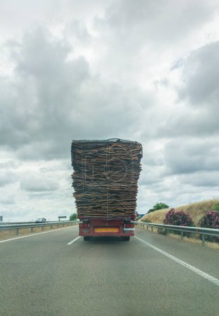 Photo for Truck loading harvested cork on the freeway. Truck Height restrictions concept - Royalty Free Image