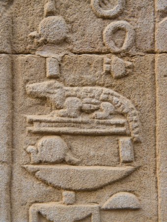 Téléchargez les photos : Détail d'un hiéroglyphe représentant un crocodile en bas-relief. Temple Kom Ombo, gouvernorat d'Assouan, Égypte - en image libre de droit