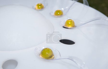 Foto de Aceite de oliva virgen extra jalea frijoles. Enfoque selectivo - Imagen libre de derechos