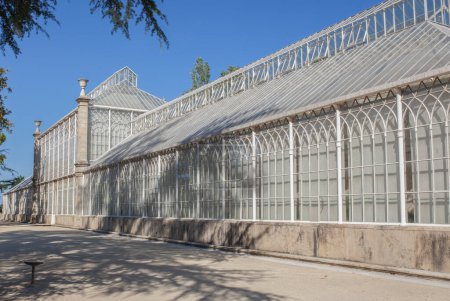 Téléchargez les photos : Serre Tropicale du Jardin Botanique de l'Université de Coimbra, Portugal - en image libre de droit